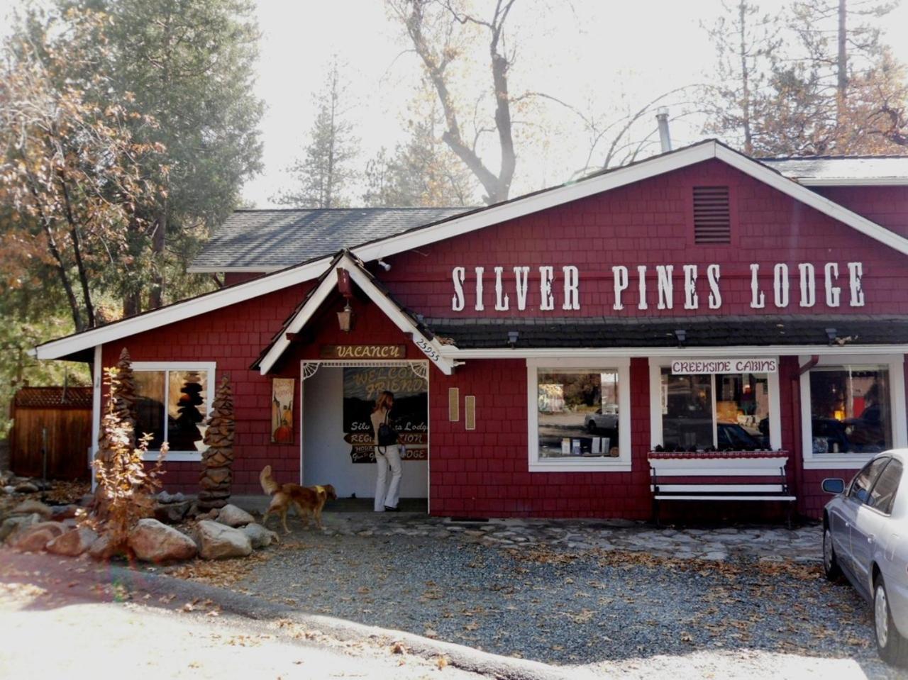 Silver Pines Lodge アイディルワイルド エクステリア 写真