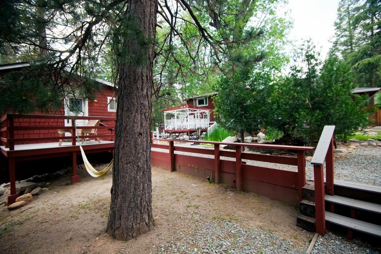 Silver Pines Lodge アイディルワイルド エクステリア 写真